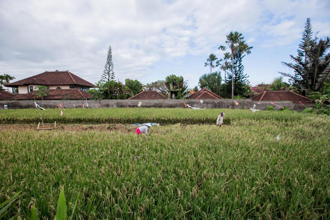 Villa Piece Of Peace Private 3Br With Large Pool And Garden チャングー エクステリア 写真